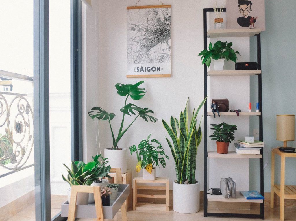 Conheça as Tendências de Decoração para 2022!