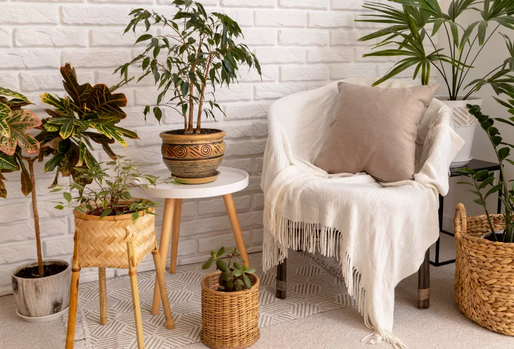 Design biofílico: inclua muitas plantas na decoração

